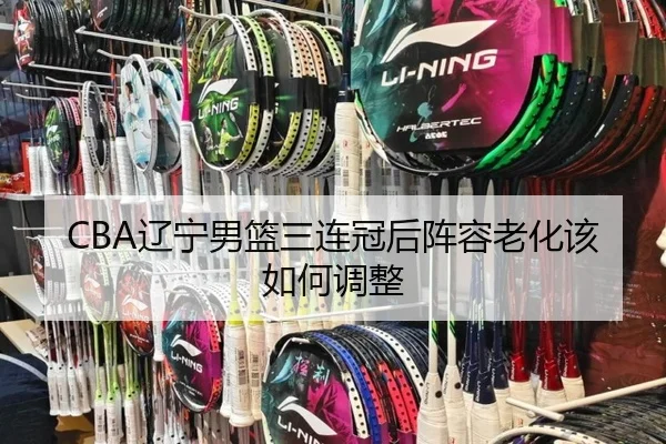 liao-ning-nan-lan-san-lian-guan-hou-zhen-rong-lao-hua-gai-ru-he-tiao-zheng-2-374.jpg